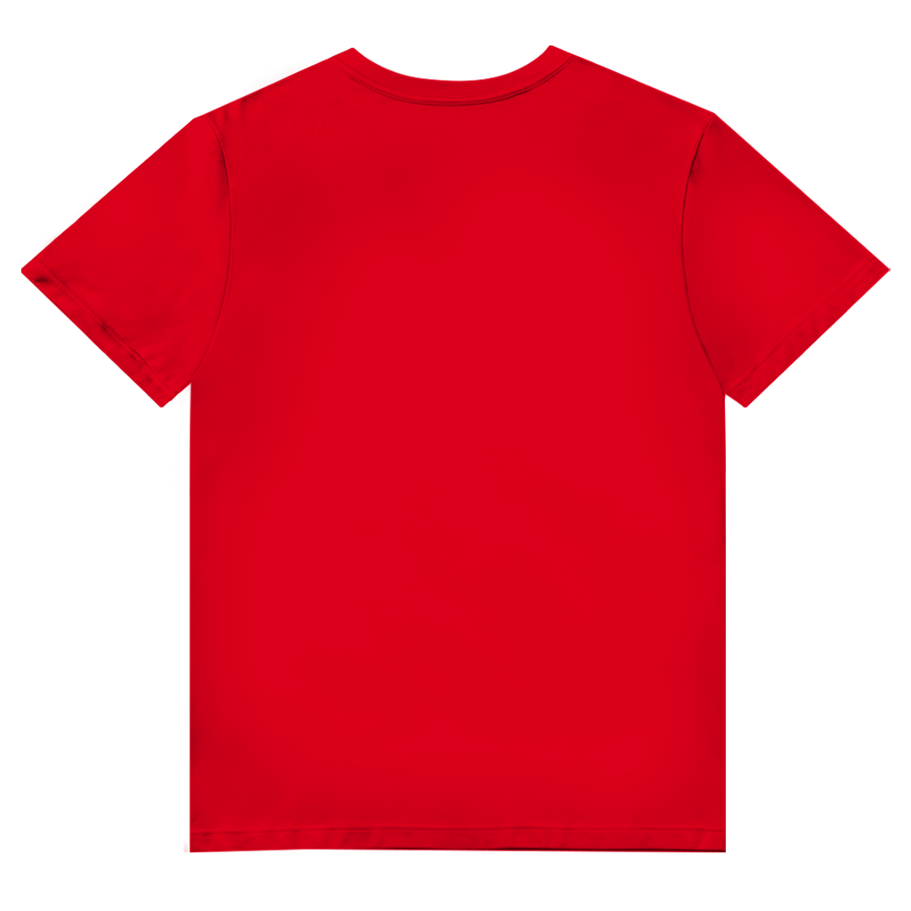 Herren Premium Bio V-Neck T-Shirt  | BAT-MAN